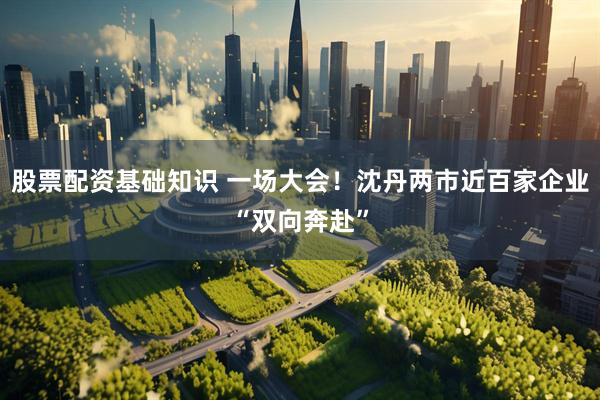股票配资基础知识 一场大会！沈丹两市近百家企业“双向奔赴”